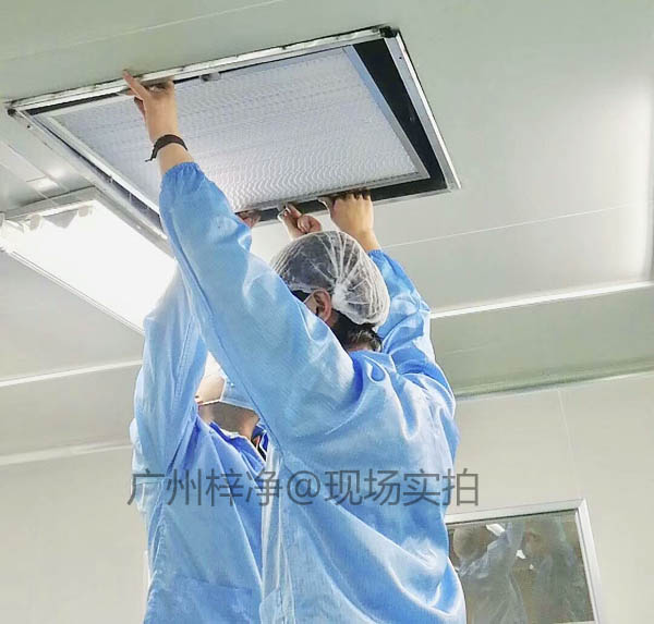 工作人员正在安装无尘室高效草莓视频在线观看免费视频